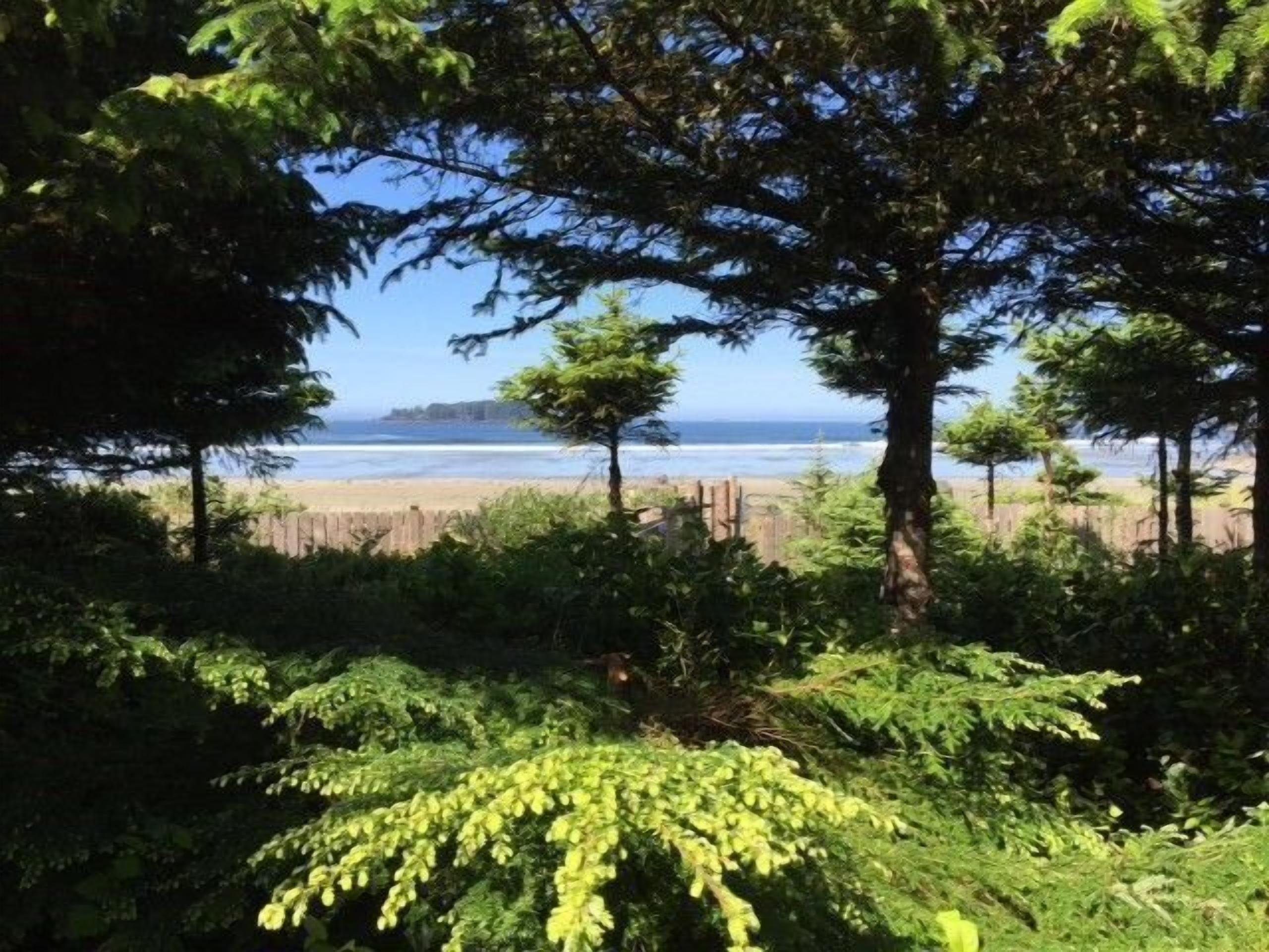 A coastal view with a beach, trees, and a wooden fence.
