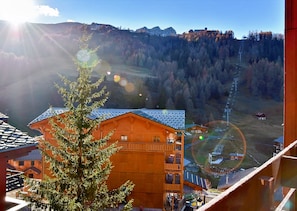 Terrain de l’hébergement 