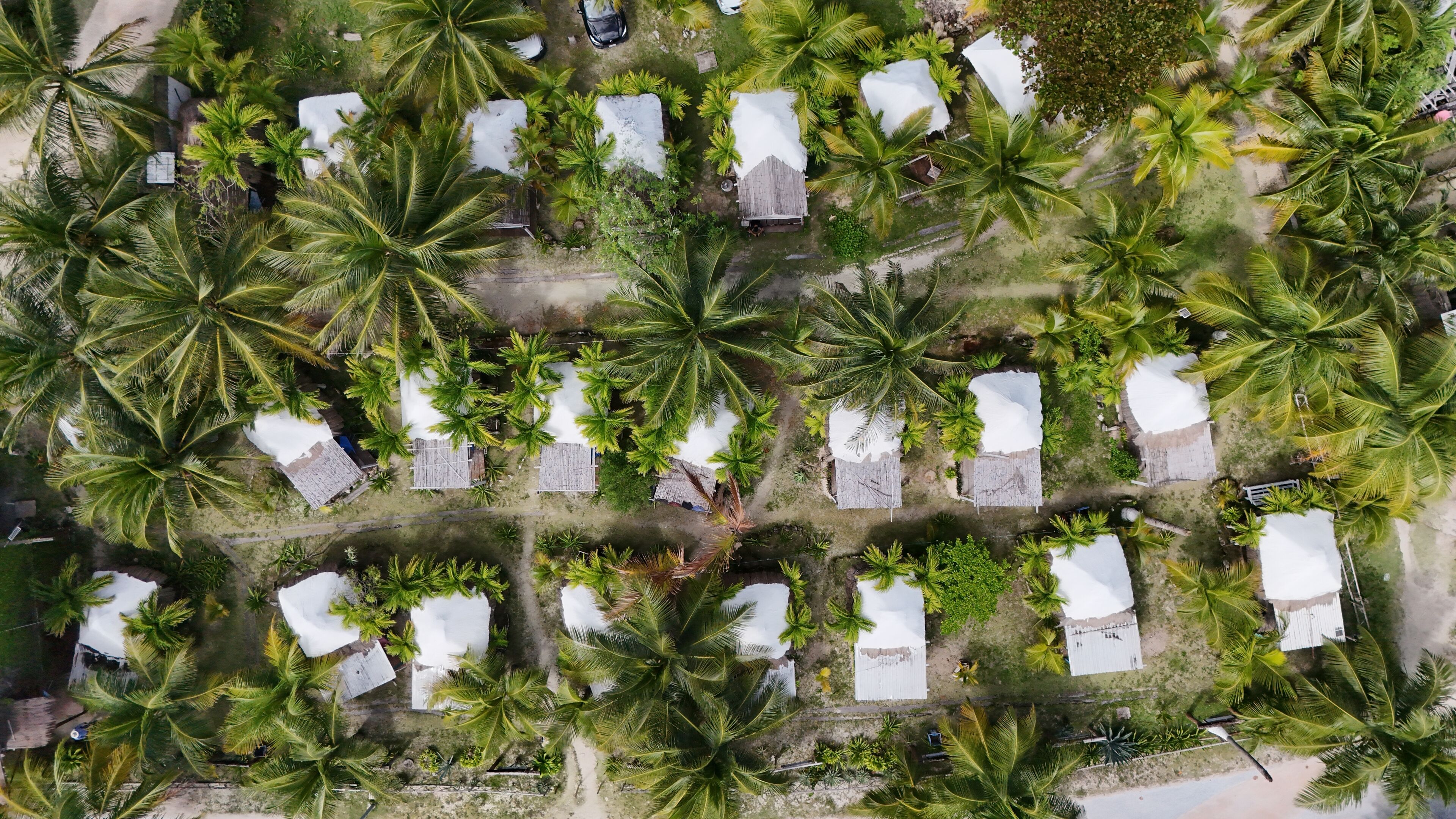 An aerial view of a resort with multiple bungalow-style accommodations surrounded by palm trees.