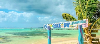 Eco Cabañas BlueKay