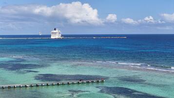 Un navire de croisière était amarré à un quai, bordant des eaux turquoise et limpides, et un ponton en bois s’étendait le long du rivage.
