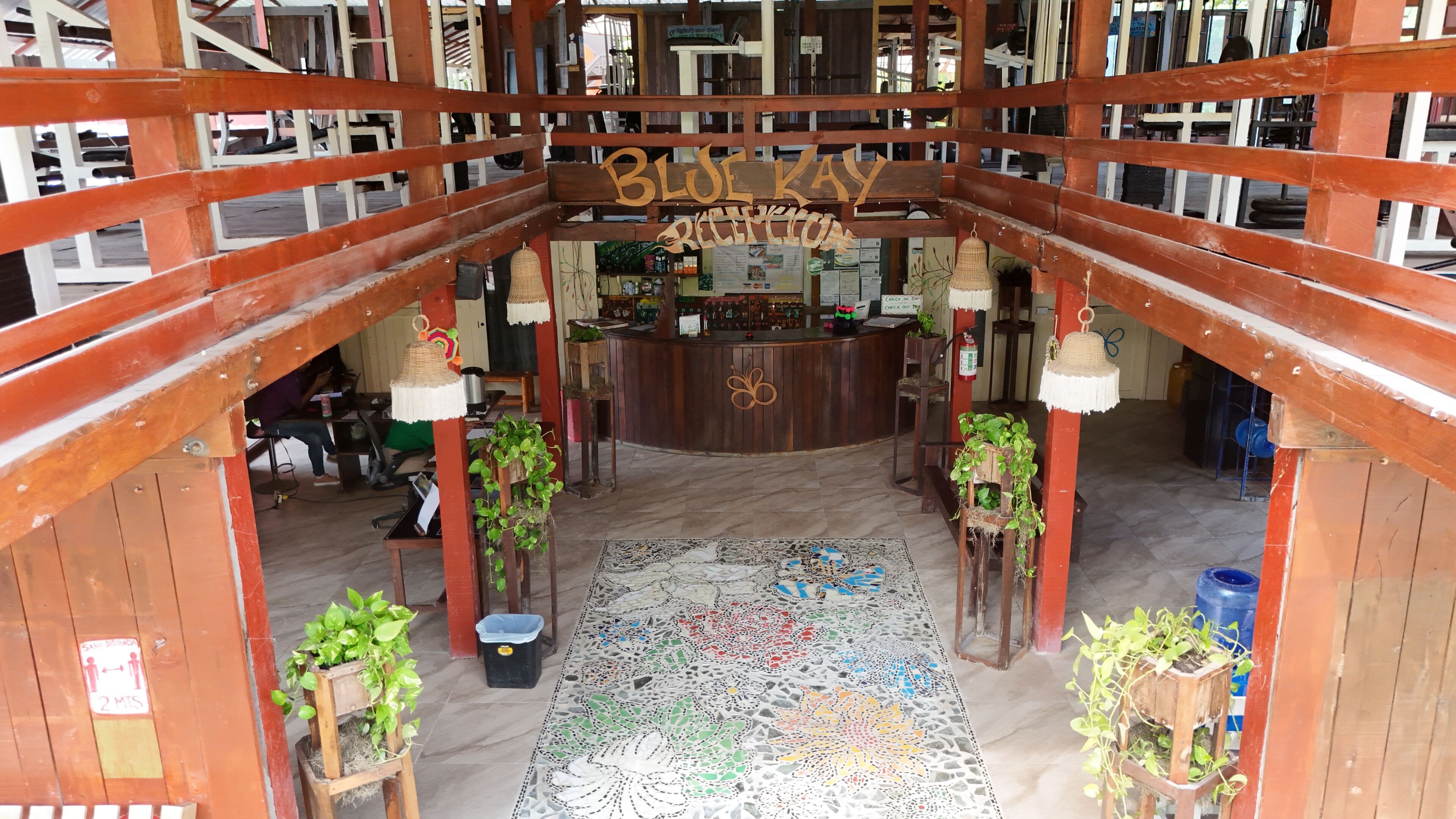 A reception area with a wooden reception desk, a mosaic floor, and potted plants.