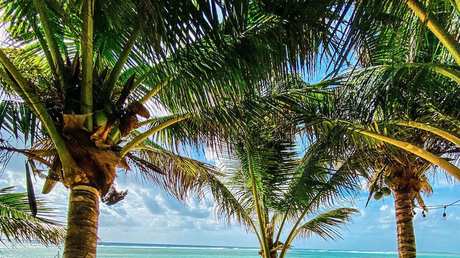 Eco Cabañas BlueKay