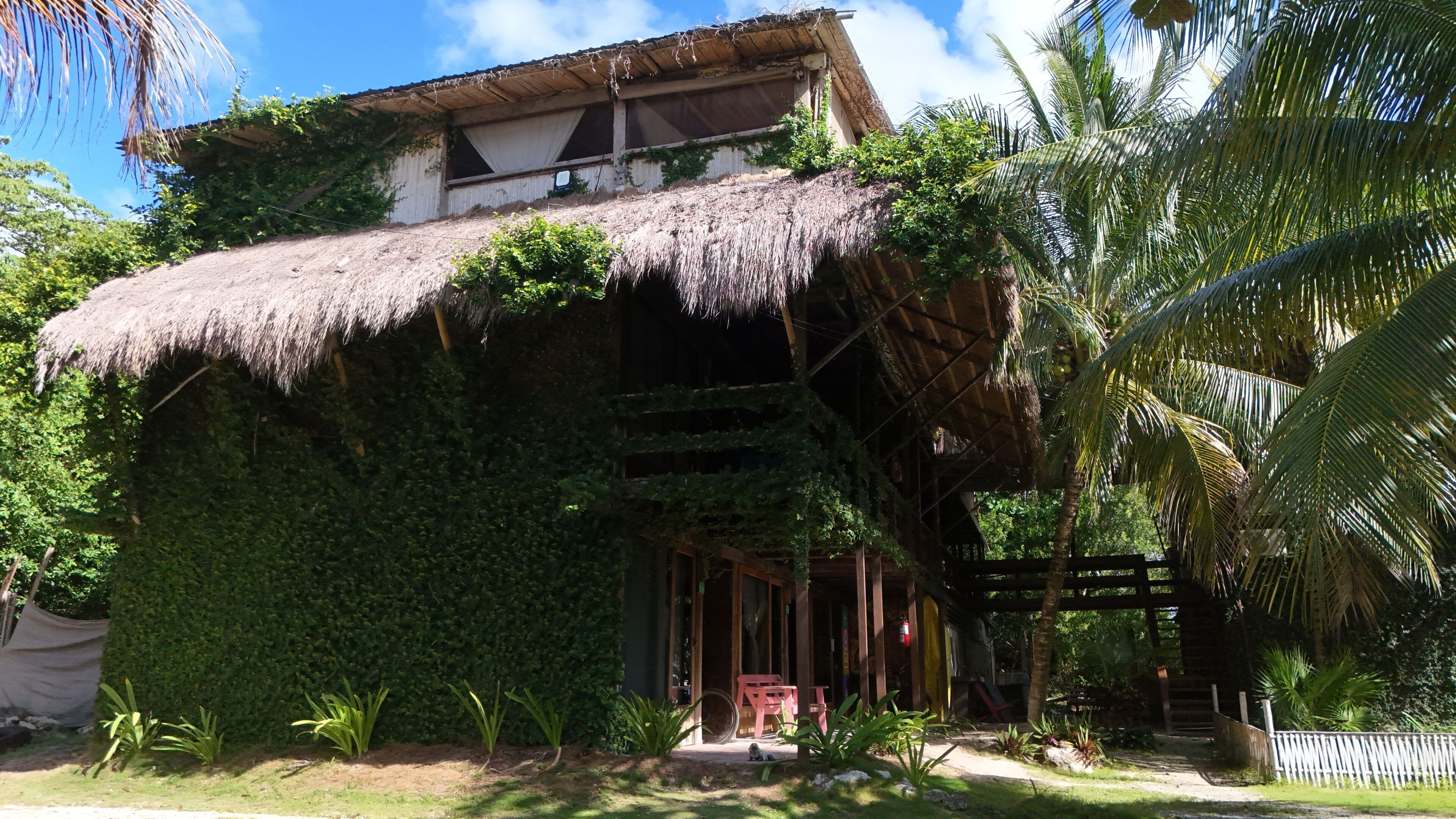 A rustic building with a thatched roof, surrounded by lush greenery and palm trees.