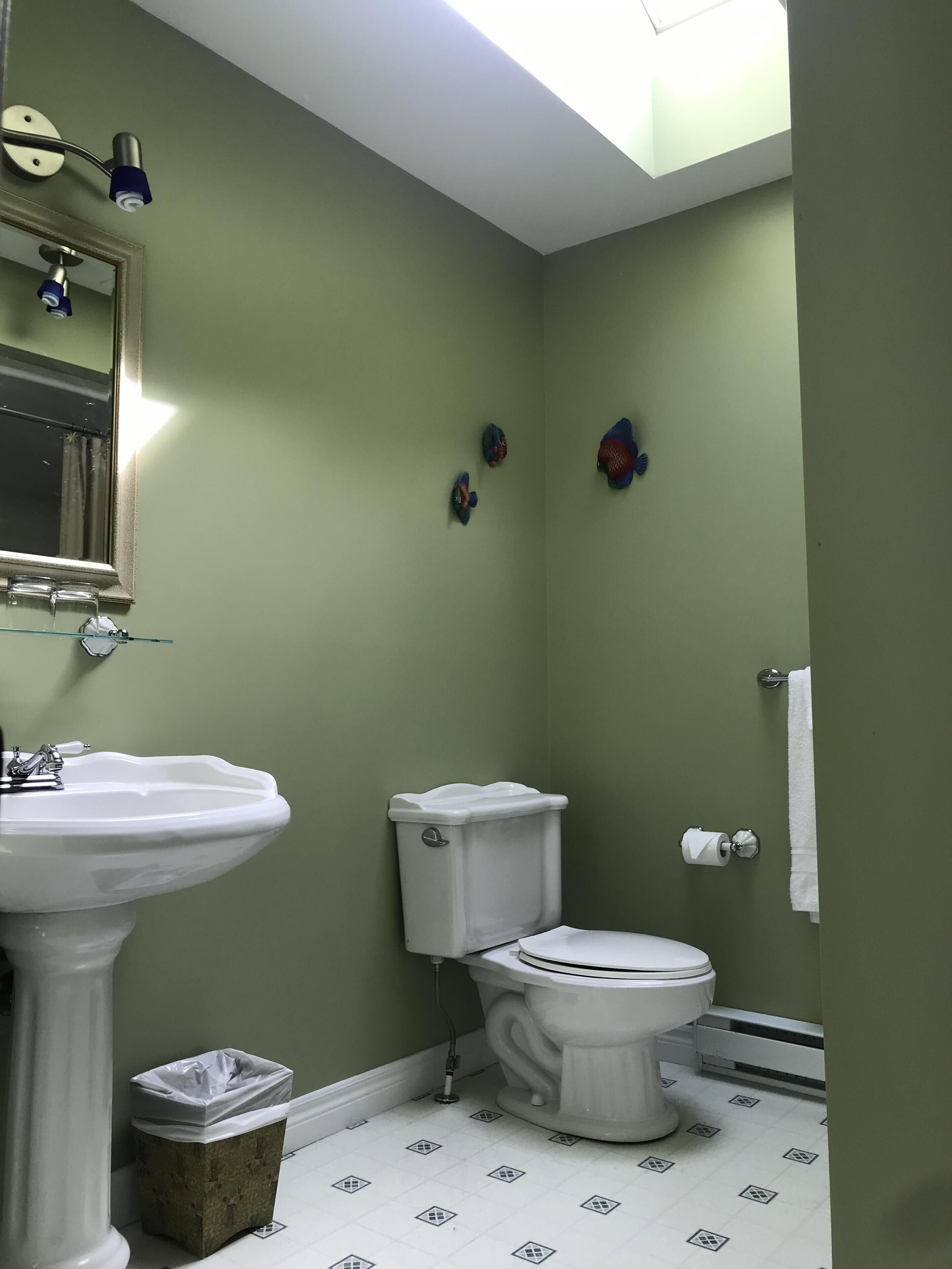 A bathroom with a pedestal sink, toilet, and a trash bin.