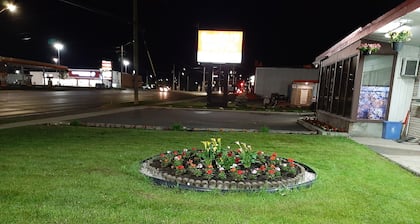 Century motel