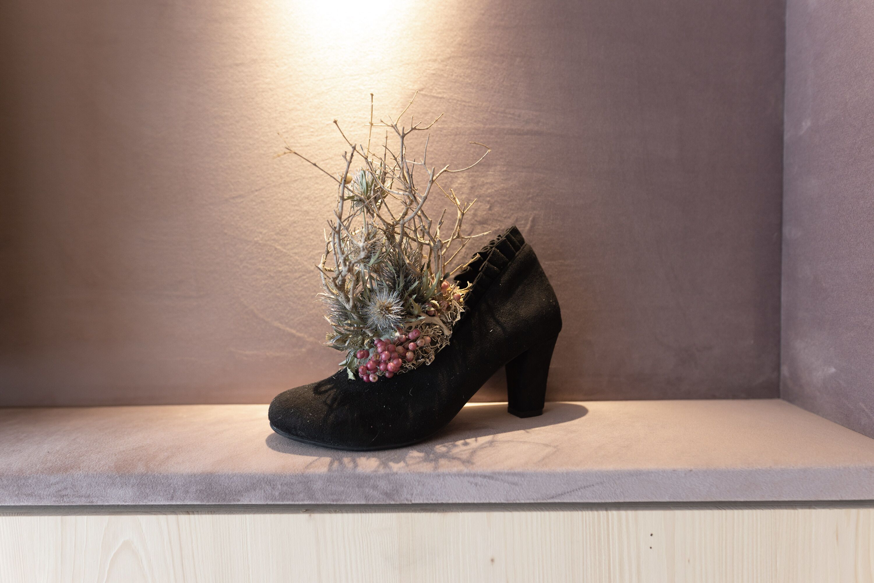 A black high-heeled shoe with a plant arrangement on a shelf against a plain wall.