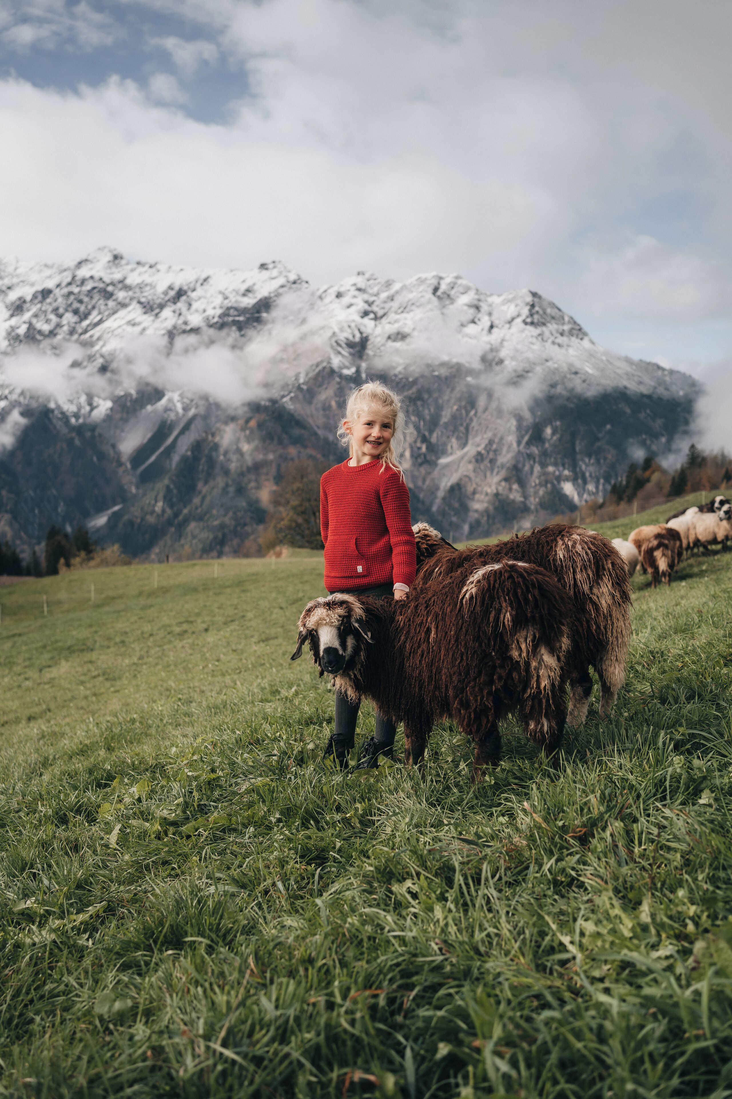 Ein Kind in einem roten Pullover sitzt auf einem Schaf in einer grünen Wiese, im Hintergrund sind Berge zu sehen.
