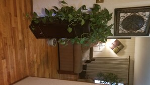 Pavimento in legno, una pianta in vaso, un termosifone e un elemento decorativo a parete.