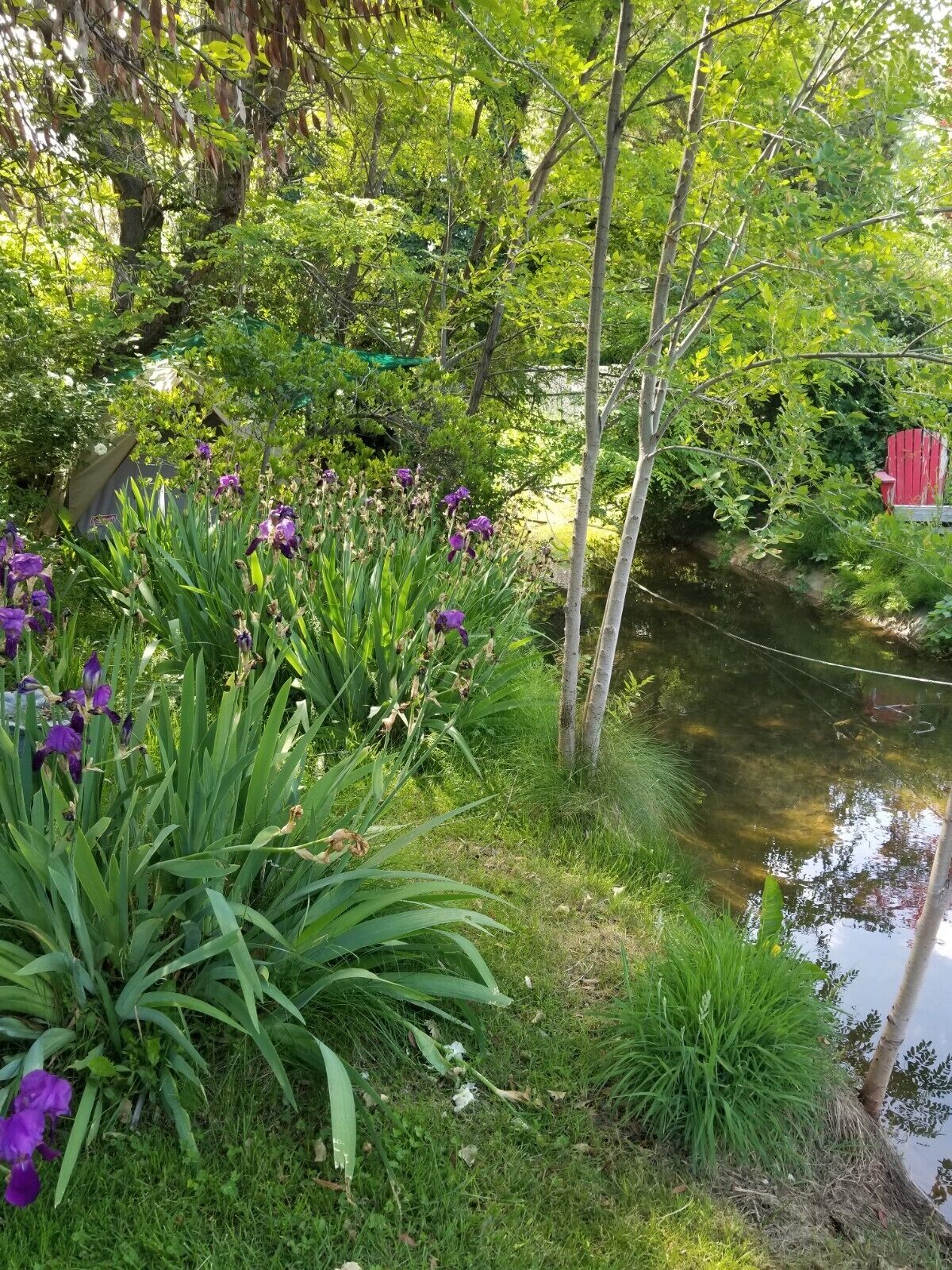 Terrein van de accommodatie