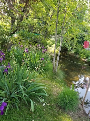A garden with a pond, surrounded by lush greenery and purple flowers.