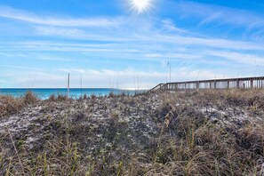 Beach / Sand Dunes