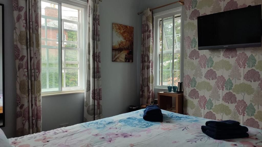 A bedroom with a bed, curtains, a painting, a television, and a window.