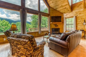 Televisión, chimenea, reproductor de DVD, libros