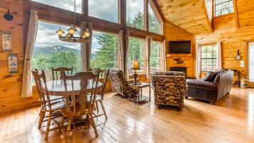 Een televisie, een open haard, een dvd-speler en boeken