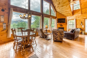 TV, fireplace, DVD player, books