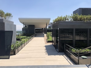 Rooftop terrace - Galeria Plaza San Jeronimo (Mexico City)
