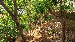 A garden pathway with trees and a fence.