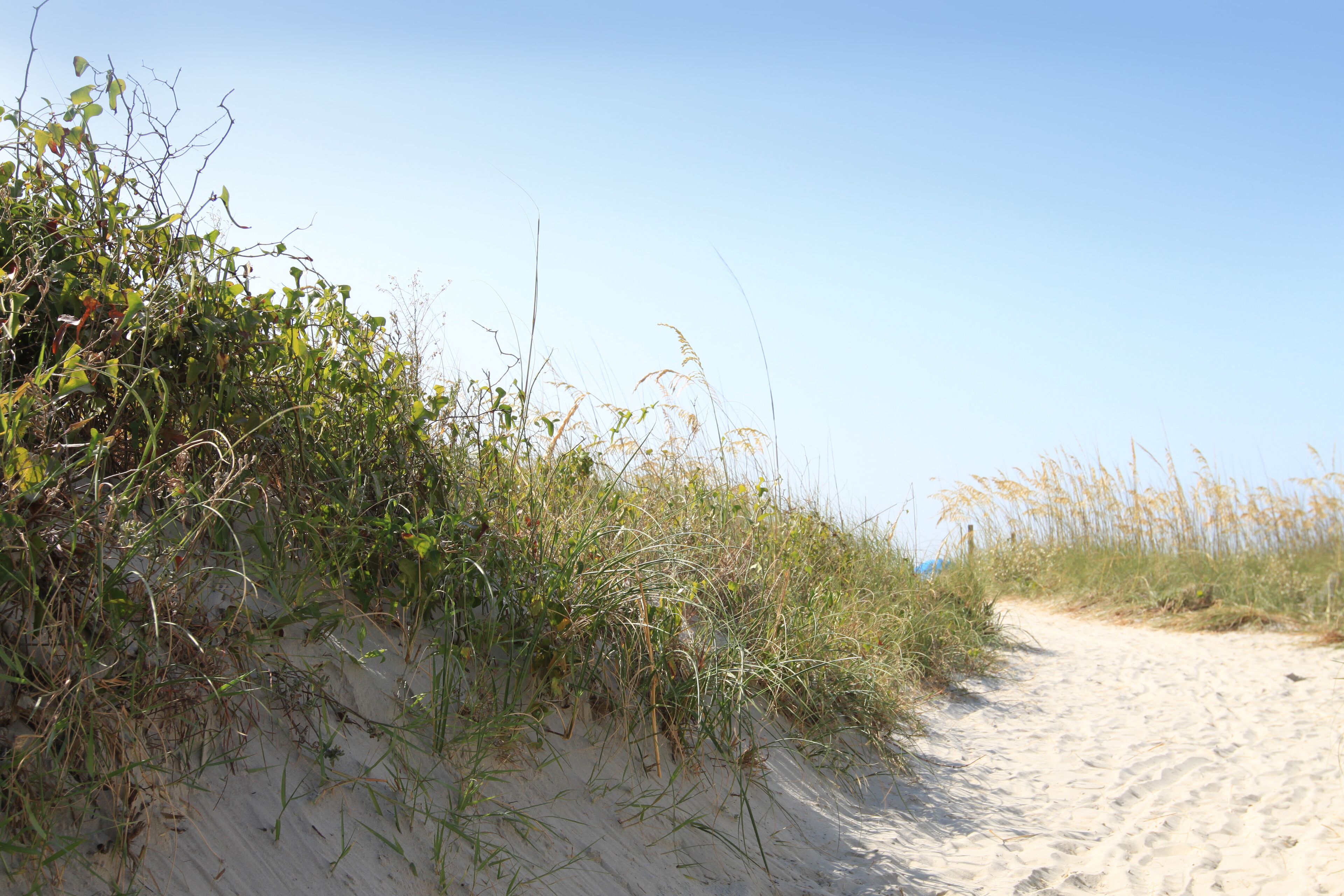 On the beach, sun-loungers, beach towels