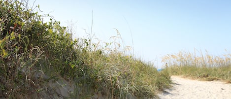 On the beach, sun-loungers, beach towels