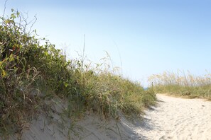 A sandy path with dense vegetation on one side.