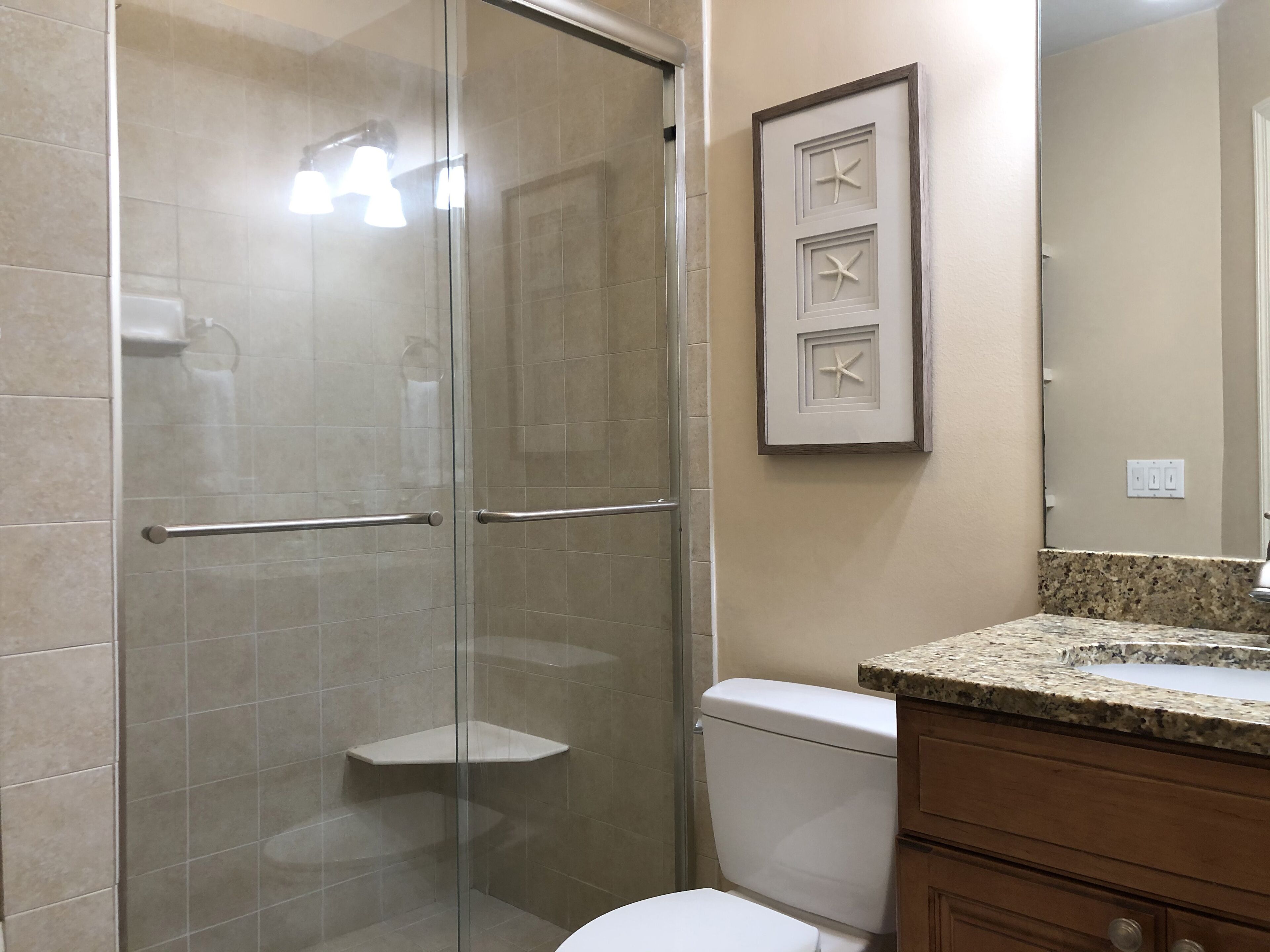 A bathroom with a glass shower enclosure, a toilet, a sink with a granite countertop, and a framed picture on the wall.