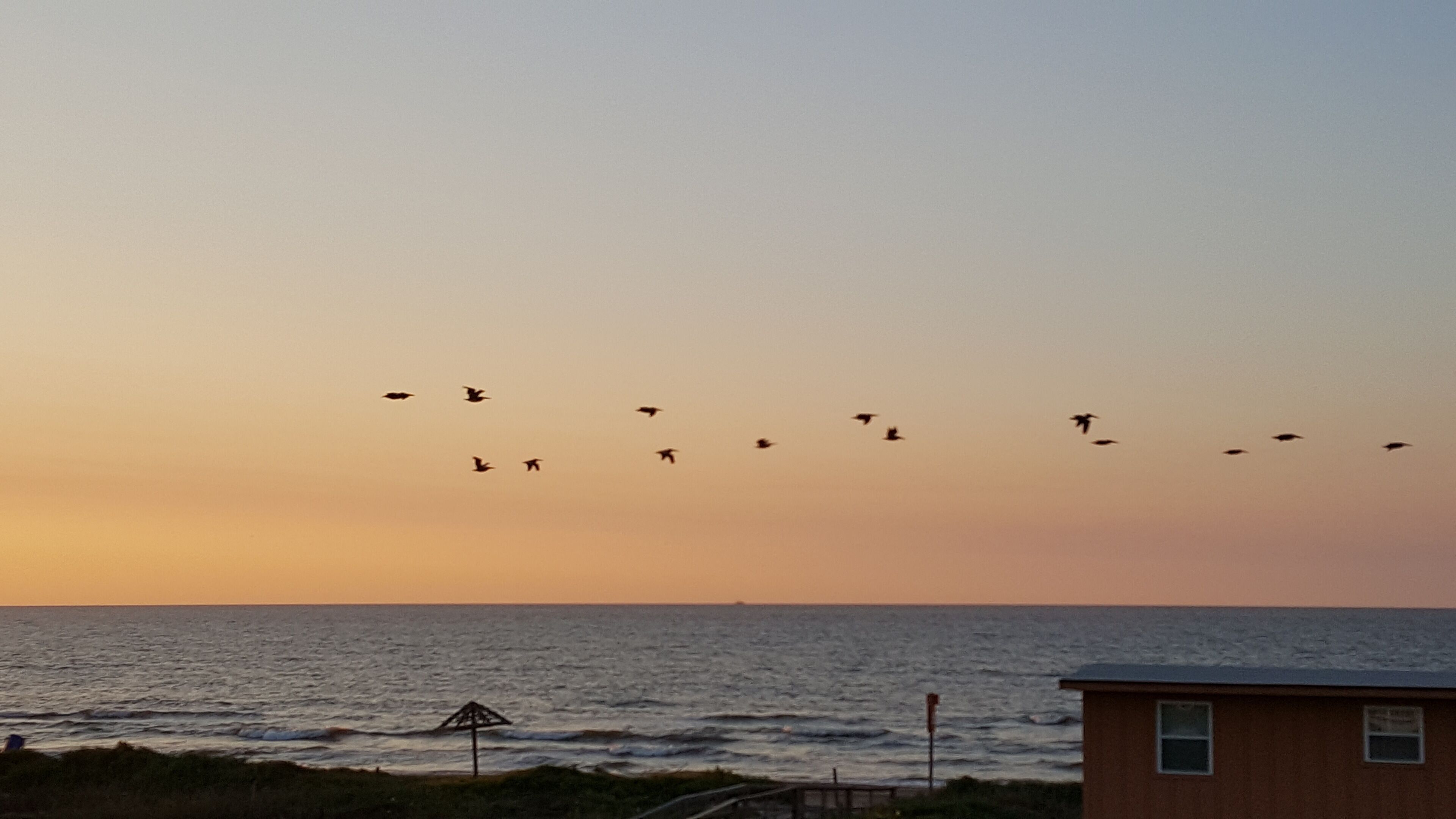 Plage, chaises longues, serviettes de plage