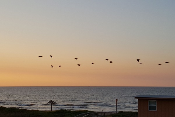 Plage, chaises longues, serviettes de plage