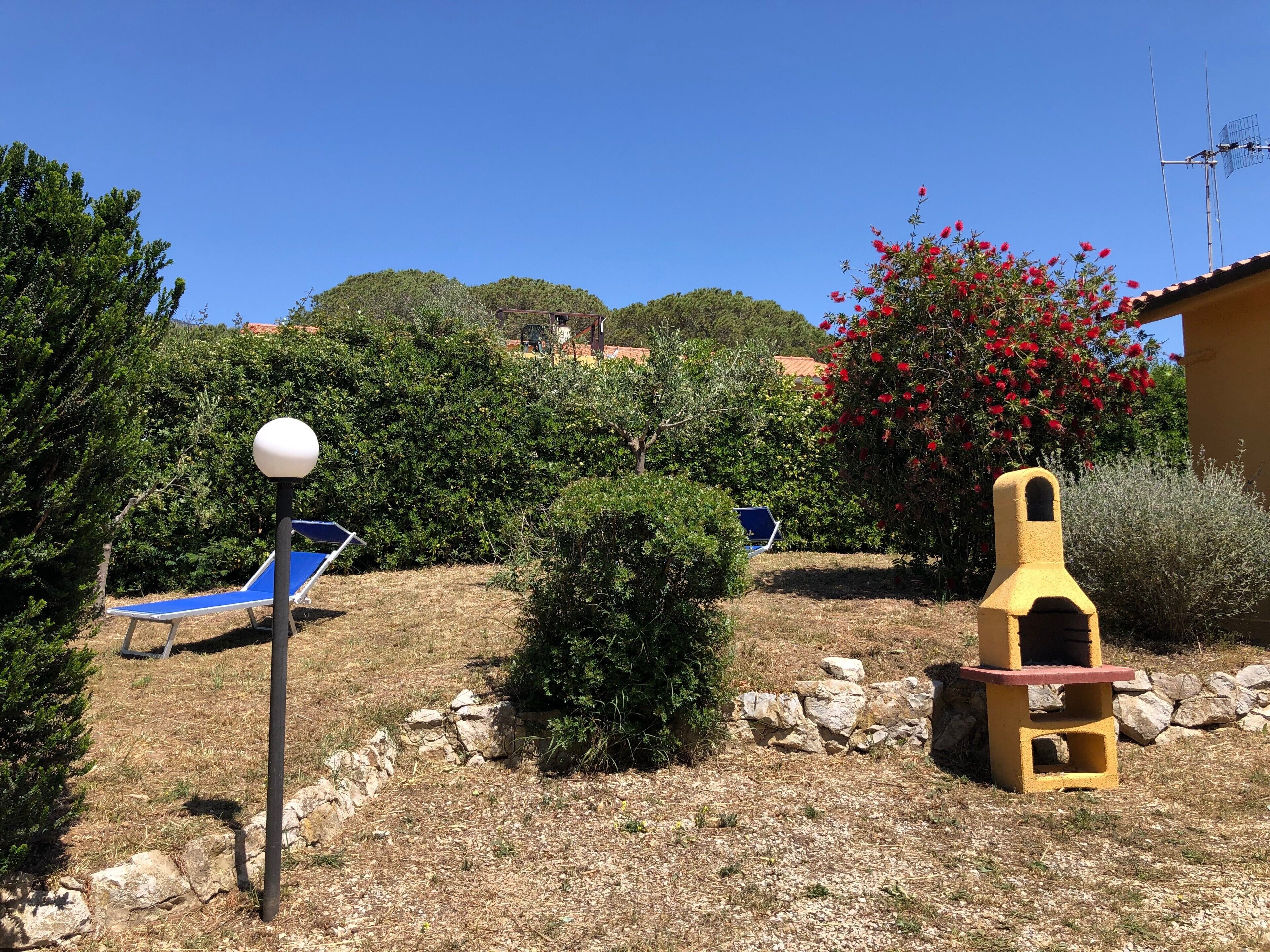Ein Garten mit einem blauen Liegestuhl, einer gelben Spielanlage und einem kleinen Baum mit roten Blüten.