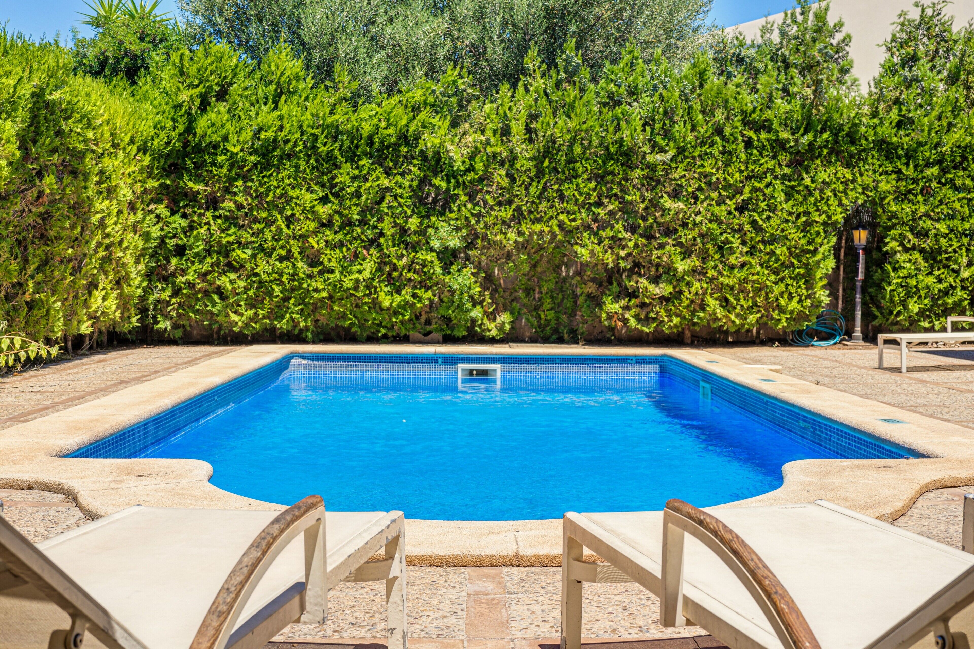 A rectangular swimming pool with a tiled edge, surrounded by lounge chairs and a hedge.