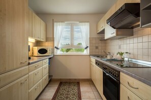 Fridge, microwave, oven, stovetop - Modern Duplex Apartment “Ferienwohnung Haidle” close to the Lake (Eriskirch)