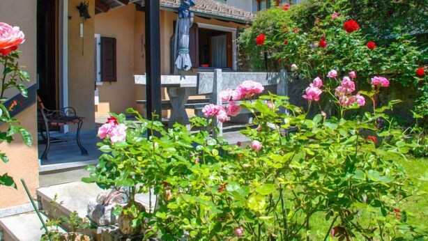 Une cour agrémentée d’une statue, d’un banc et de diverses variétés de fleurs.