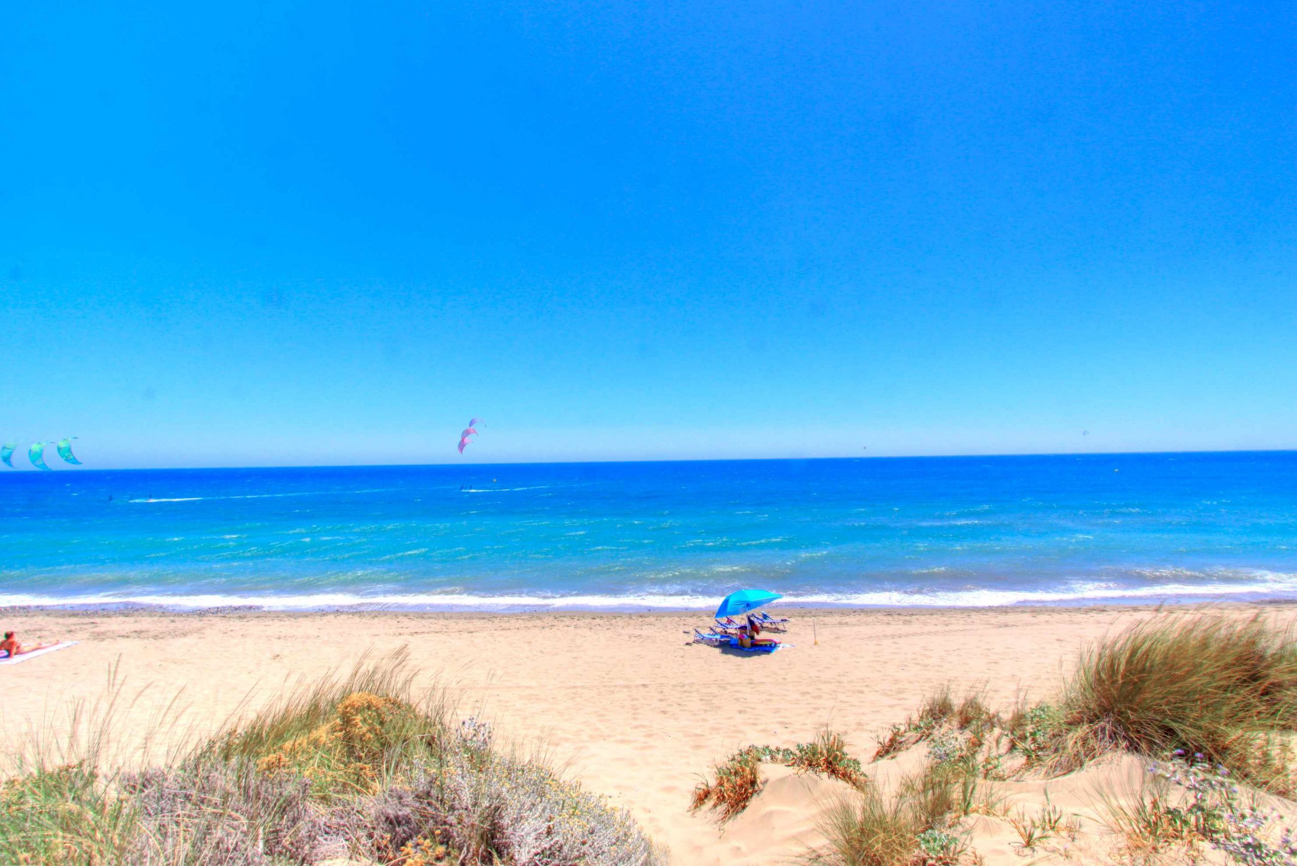 Una spiaggia con cieli sereni, una battigia sabbiosa e una persona sotto un ombrello blu.