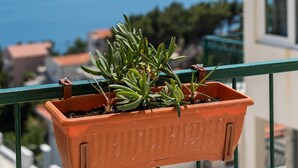 Ein terrakotta-hängender Pflanzkasten mit Grünpflanzen an einem Balkongeländer, mit Blick auf die Küste, Gebäude und das Meer.