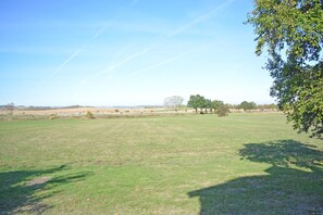 Nicht klassifiziertes Bild, 2 von 8, Schaltfläche