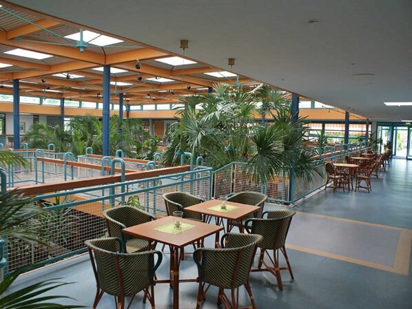 A spacious indoor area with multiple tables and chairs, large windows, and indoor plants.