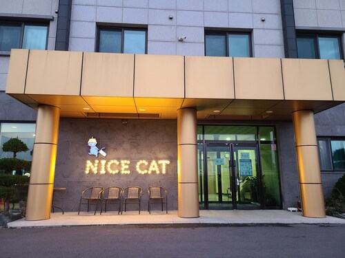 Nice Cat Hotel & Guest House