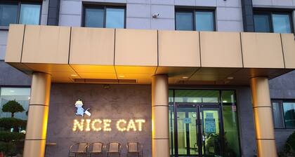 Nice Cat Hotel & Guest House