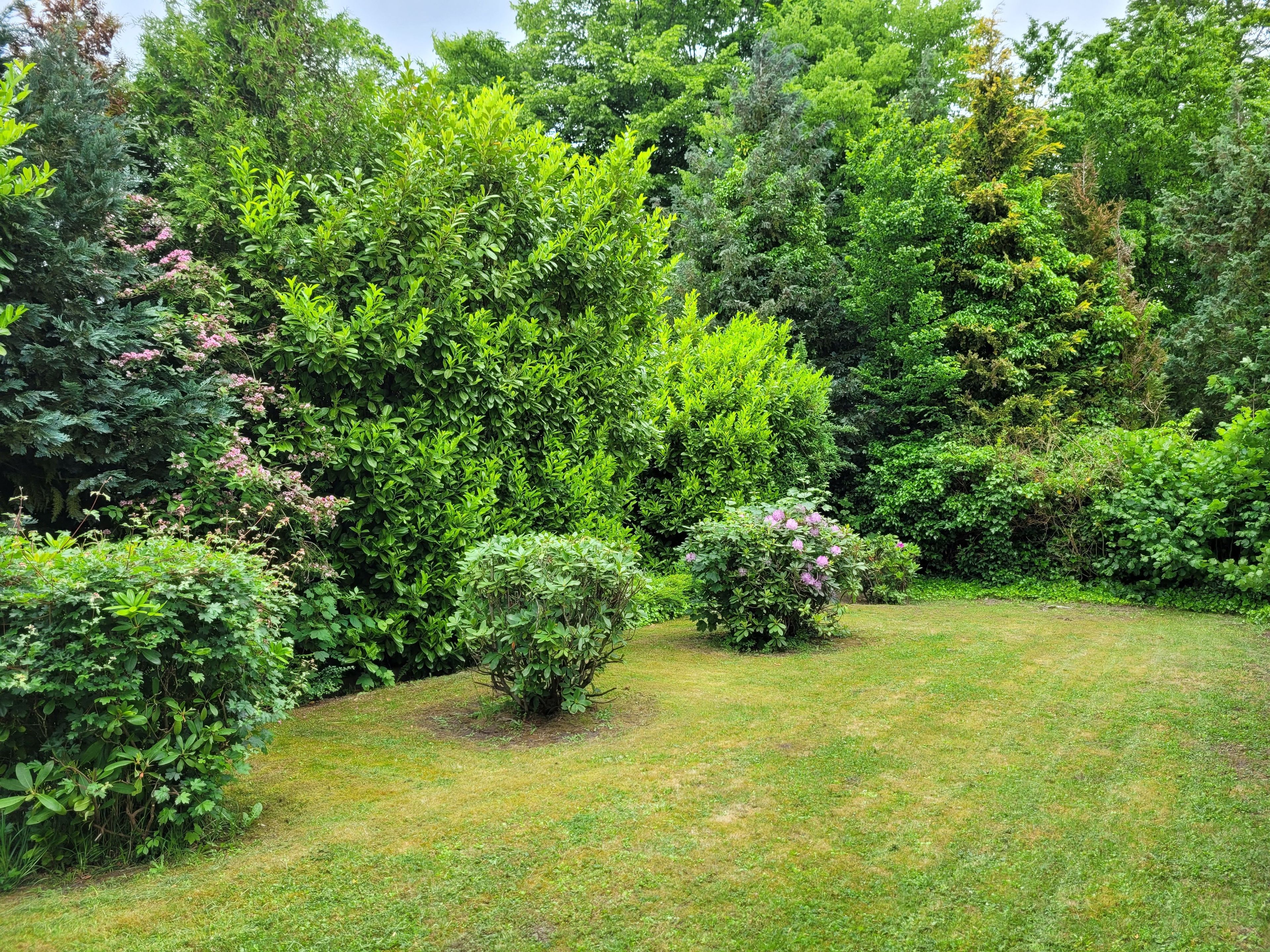 A lush garden with various shrubs and a well-maintained lawn.