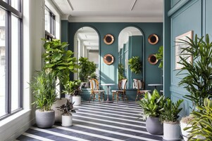 Un couloir orné de plantes en pot, doté d’un sol à carreaux et offrant une vue sur une pièce où se trouvent un grand miroir et un tableau.