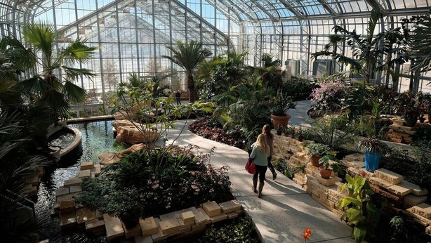 A greenhouse with a glass ceiling, various plants, a small water feature, and a person walking. - Kimpton Cottonwood by IHG (Omaha)