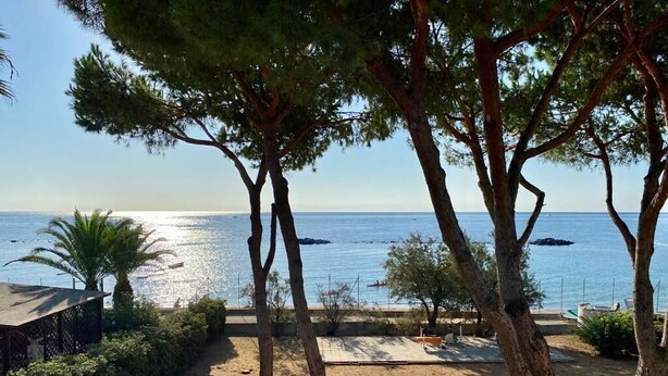 A beach view with trees, a sandy area, and a clear sky. - Fronte Mare - Facing the sea (Perd'e Sali)