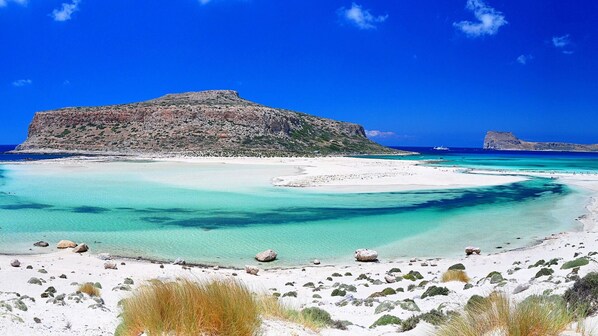 Camastros y toallas de playa 