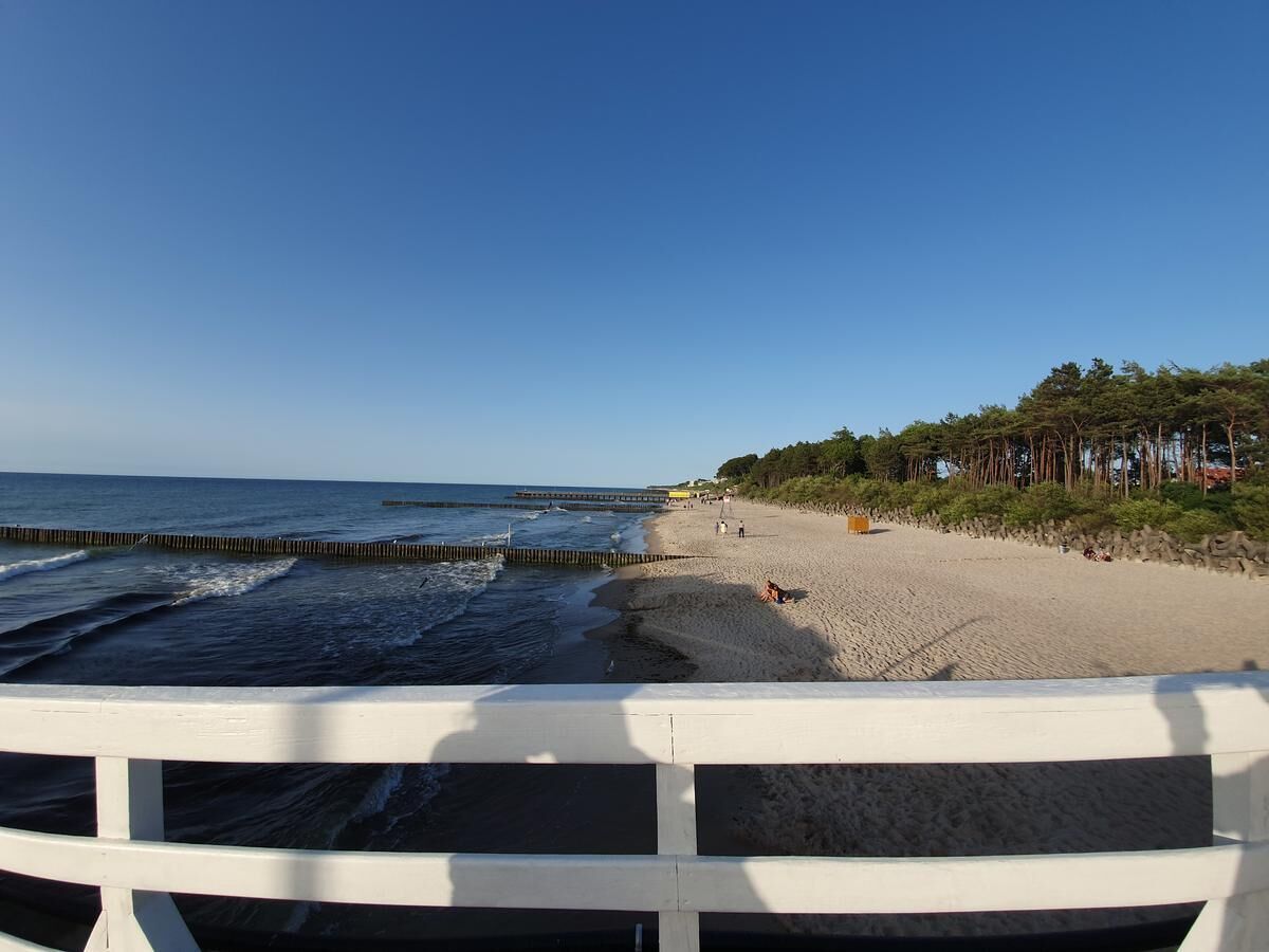 A beach with a pier extending into the water, a sandy shore, and a line of trees in the background.
