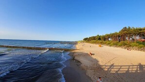 A beach with a wooden pier extending into the water, sandy beach, and a line of trees in the background. - Apartamenty Boulevard - 365PAM (Ustronie Morskie)