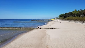 Pantai