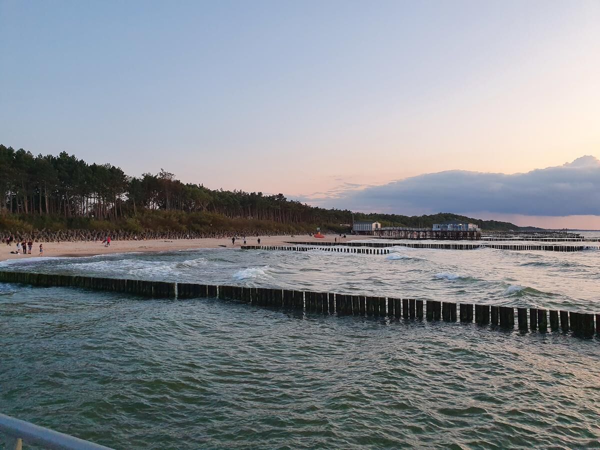 A coastal scene with a beach, wooden breakwaters, and a forested hill.
