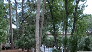 Una terraza de madera con una silla azul, rodeada de árboles y una zona de piscina.