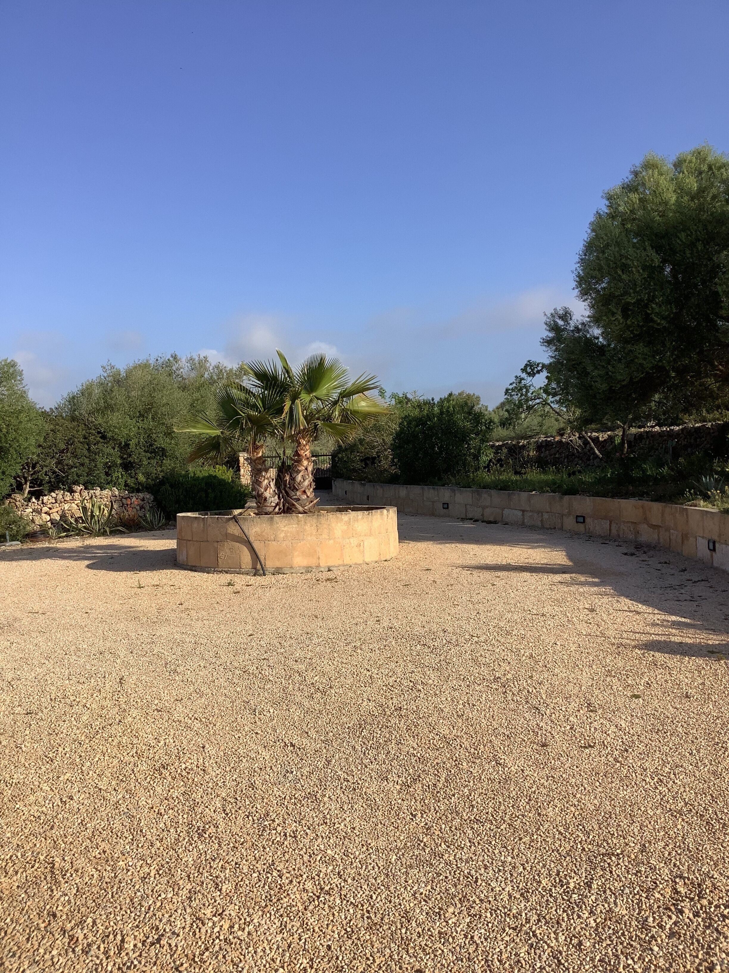 A gravel courtyard with palm trees and a stone wall.