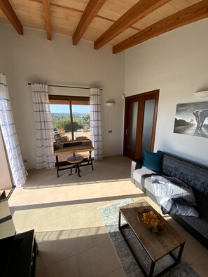 Smart TV, fireplace, books, stereo